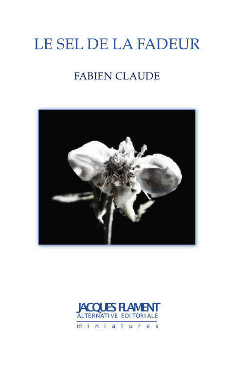 Le sel de la fadeur, livre de Fabien Claude, éditions Jacques Flament
